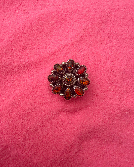 Cluster Ring