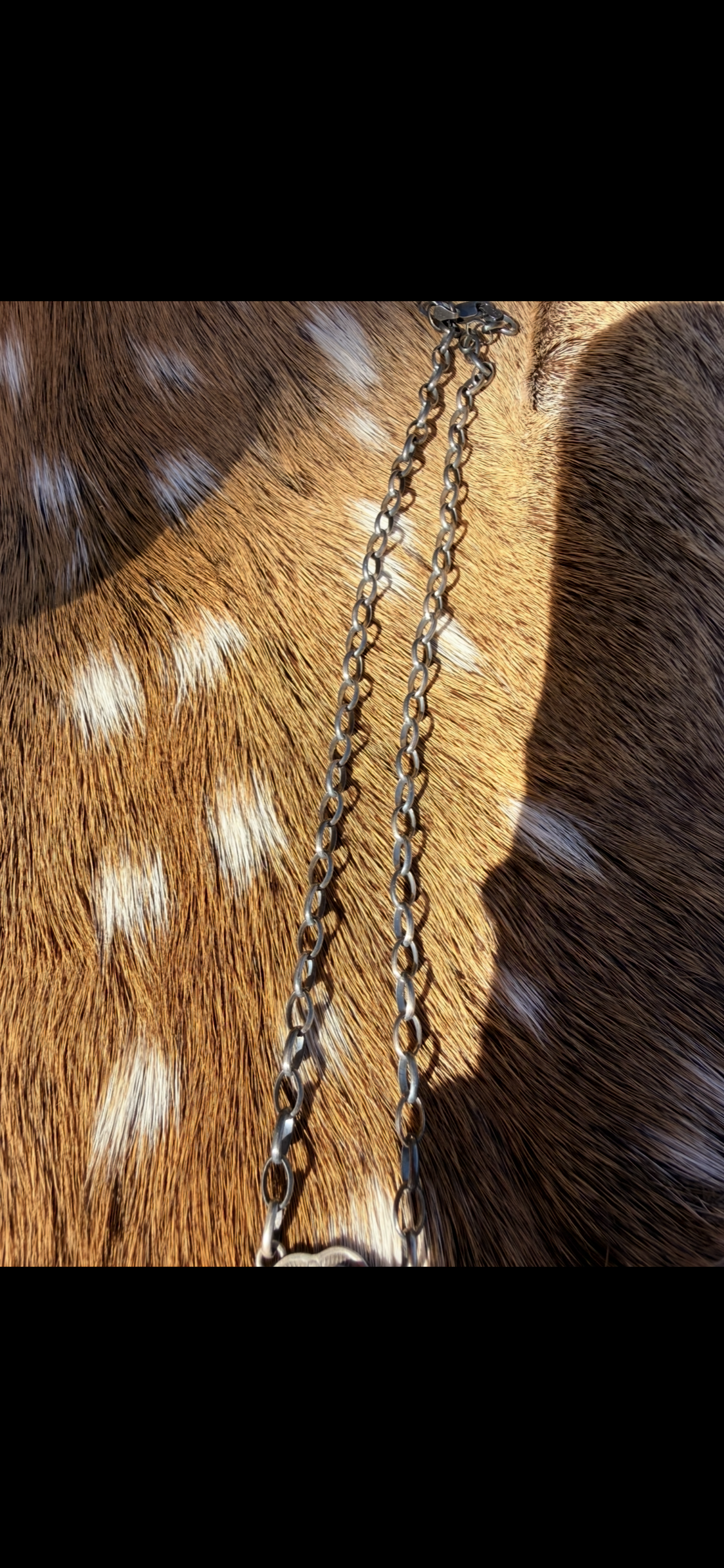 White Buffalo Lariat